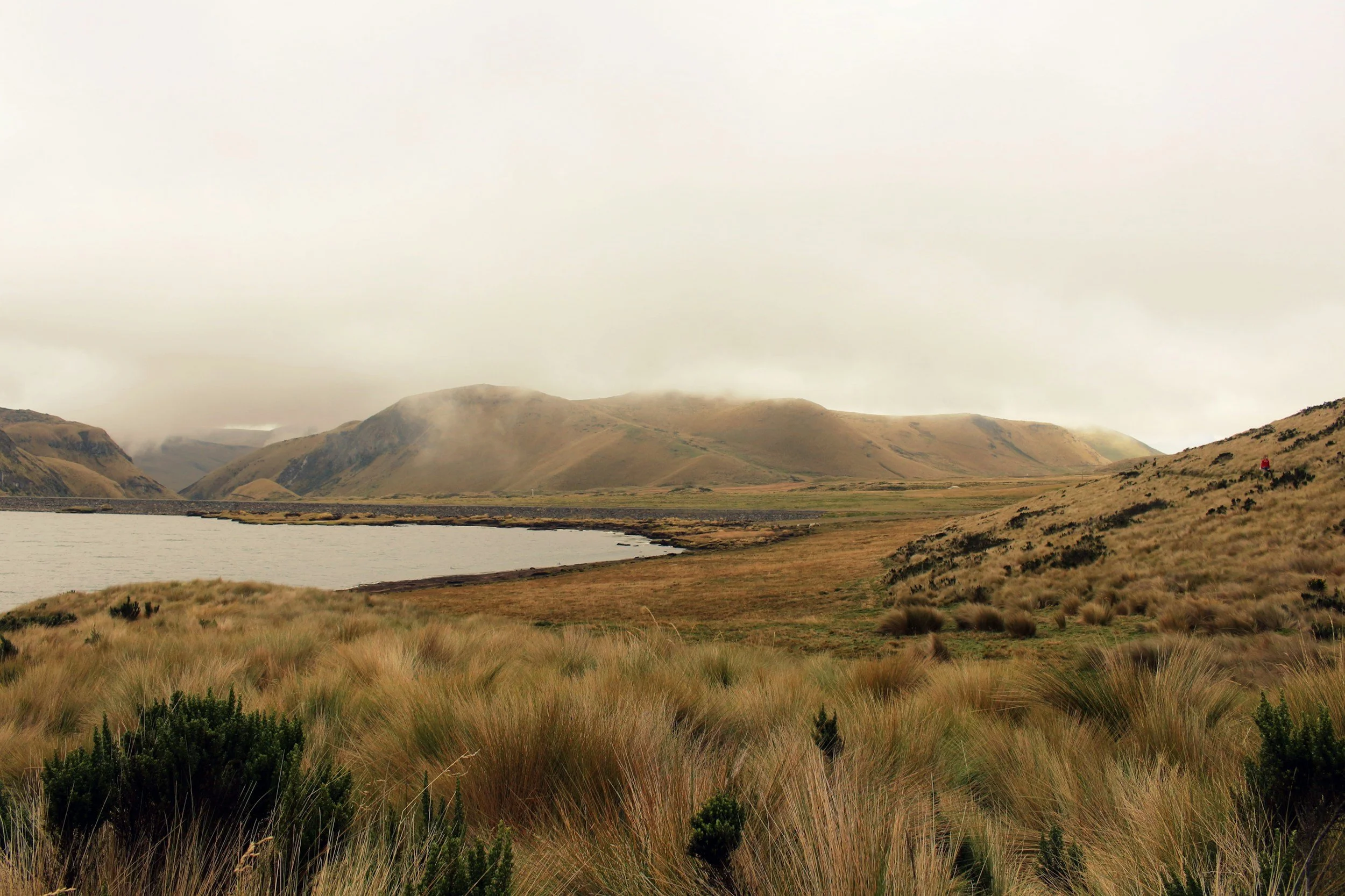 A vast landscape with rolling hills covered in grass and sparse shrubs, a body of water in the foreground, and misty mountains in the background under a cloudy sky.