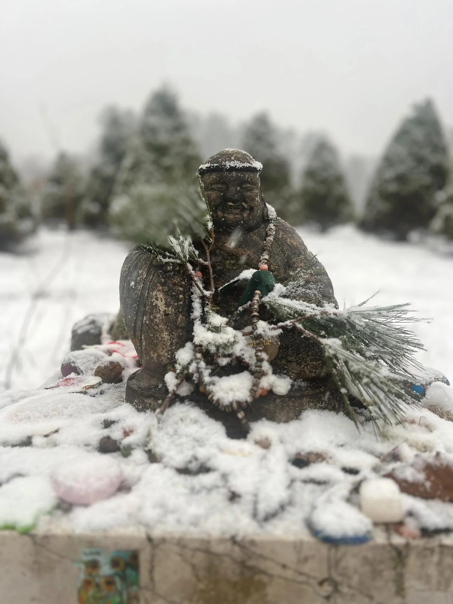 13 years ago I went to Kripalu for a 200h YTT and it completely changed the trajectory of my life. 13 years later I had the honor to assist a 200 Hour Yoga Teacher Training for a group of unique and brilliant new teachers. I was surrounded by a dream