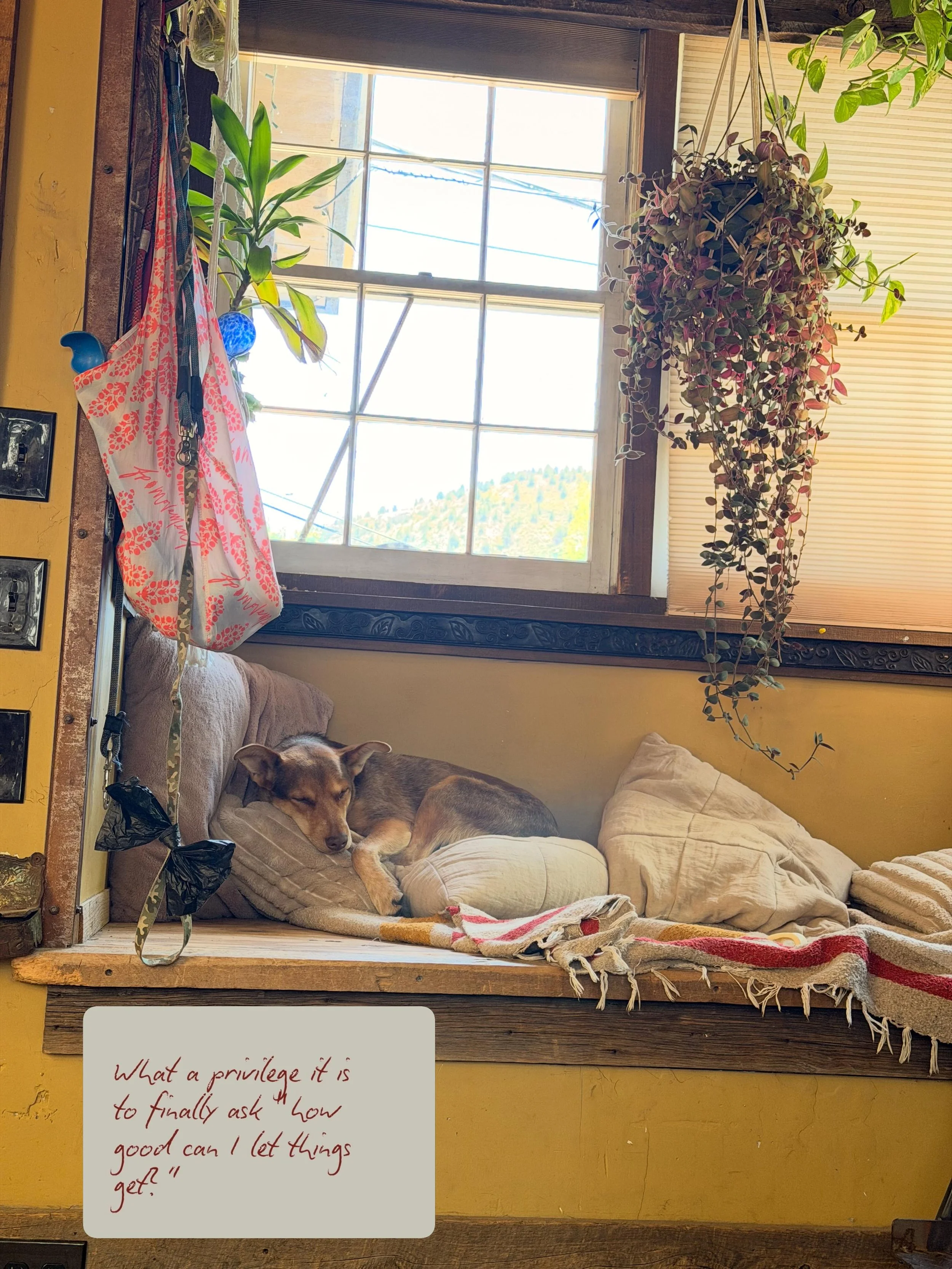 Anyone else get a little bit rocked this week? ✨

I was flipping through my yoga journals 📝 to figure out what I felt like sharing this week. Came across a lesson from recent stint at Kripalu- 

Yoga was originally intended as &ldquo;Nadi Nadi&rdquo