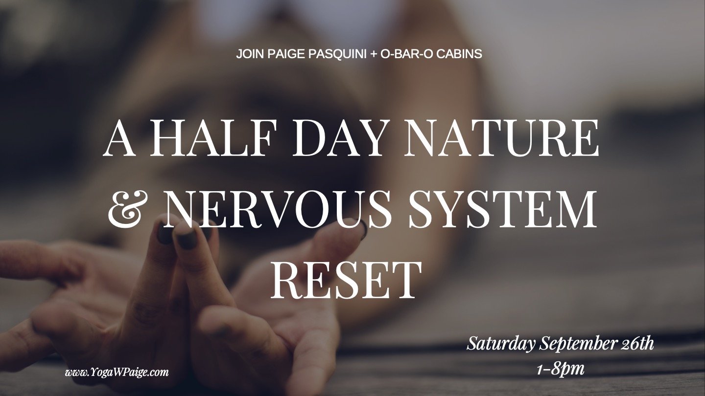 Half-Day Nature & Nervous System Retreat 