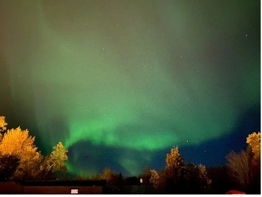 Aurora boreal iluminando el cielo nocturno sobre árboles con hojas doradas.