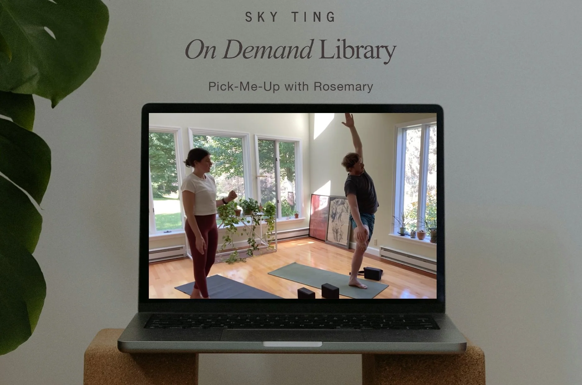 Rosemary Dorsett for Sky Ting