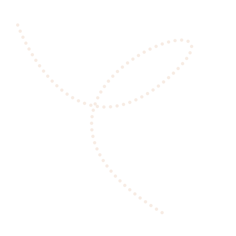 Illustrated dotted arrow used as a decorative design element.