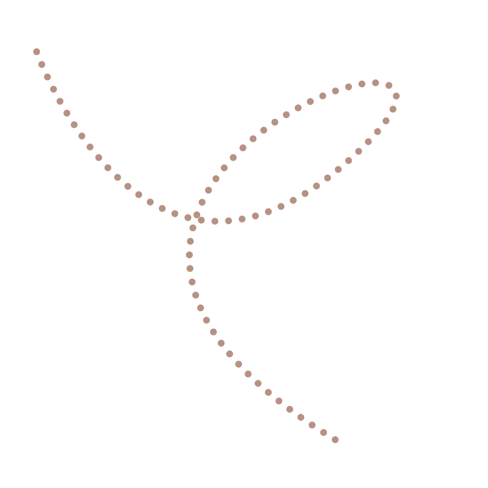 Illustrated dotted arrow used as a decorative design element.