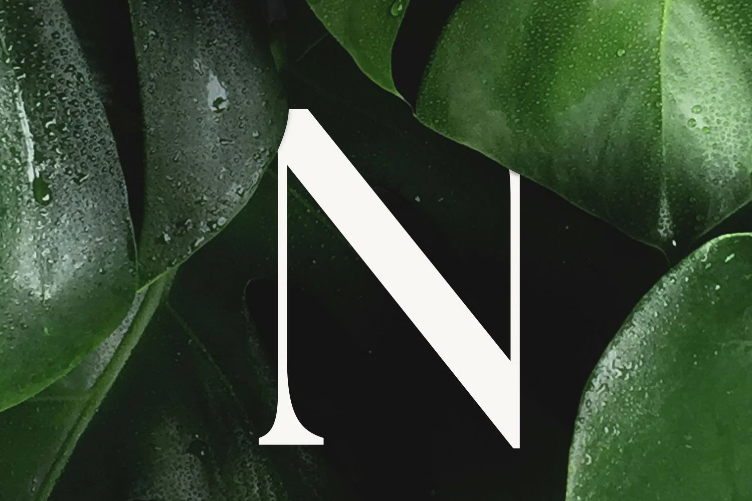 Monogram created for the Natasha Carr brand identity, displayed over botanical imagery to reflect the brand's refined and natural aesthetic.