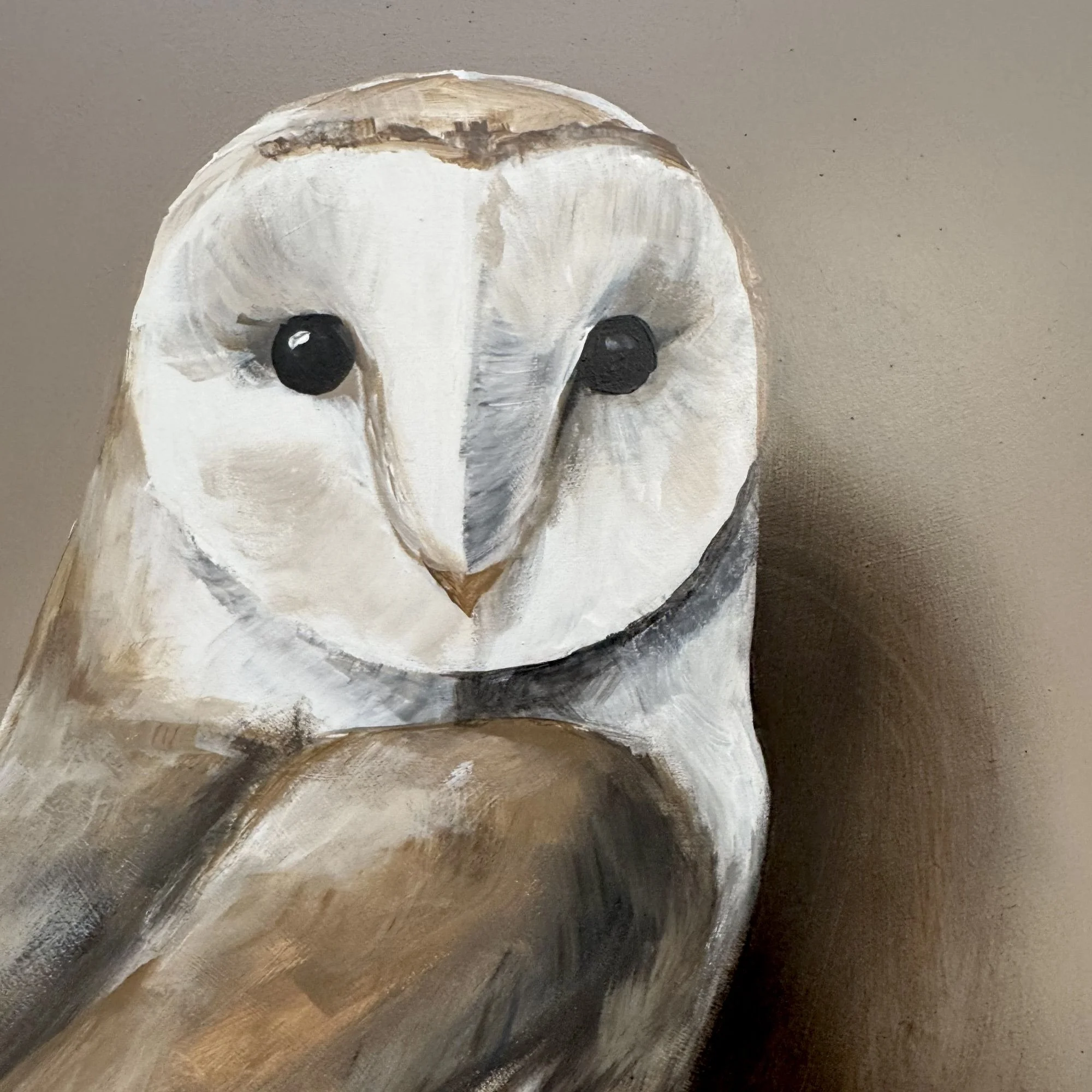 CUDE-004 NOCTUA 1.jpeg (Copy)