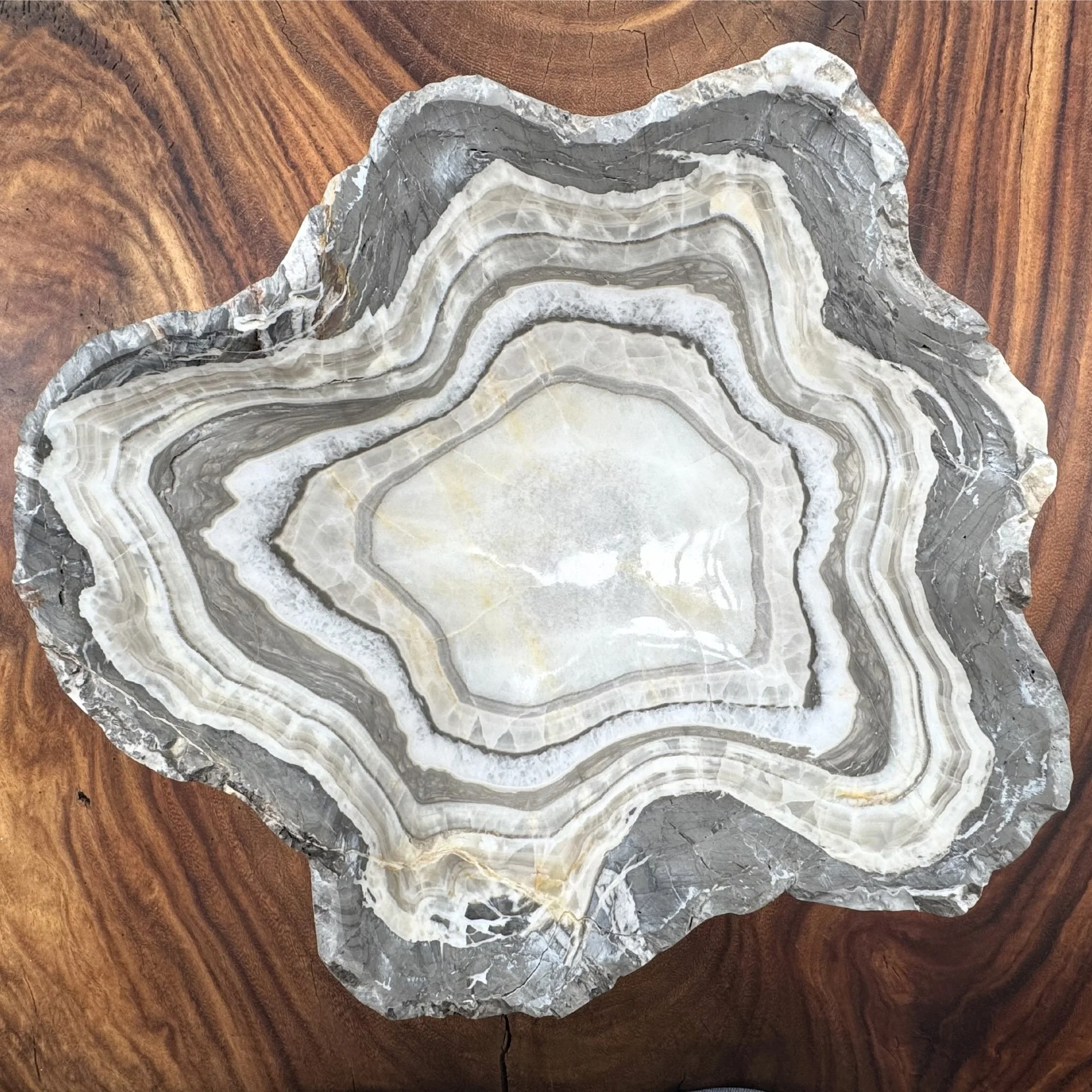 ACMAR-006 PETRO 1.jpeg