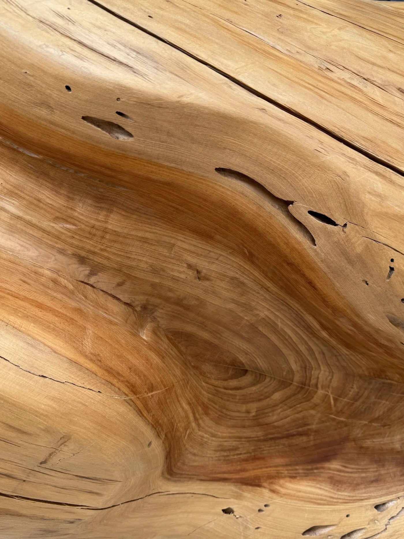 MTR- 019 NATIVA 2.jpeg