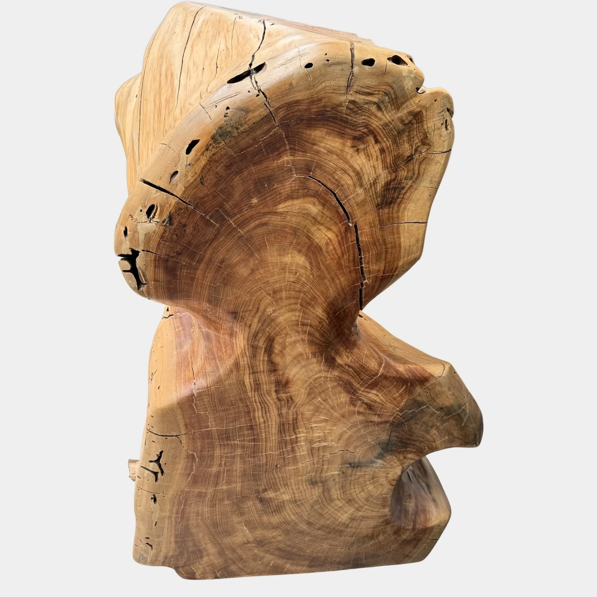 MTR- 019 NATIVA 4.jpeg