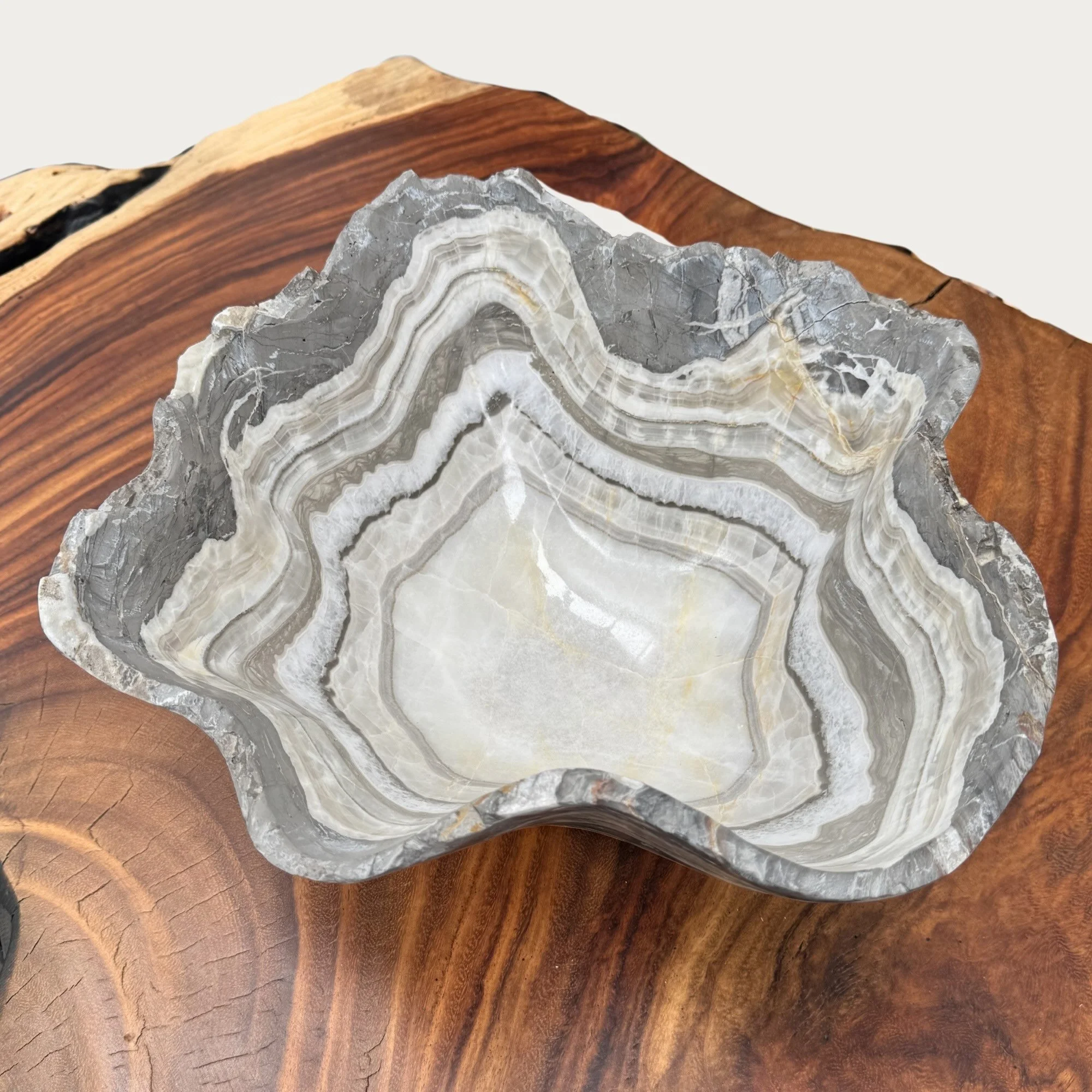 ACMAR-006 PETRO 2.jpeg