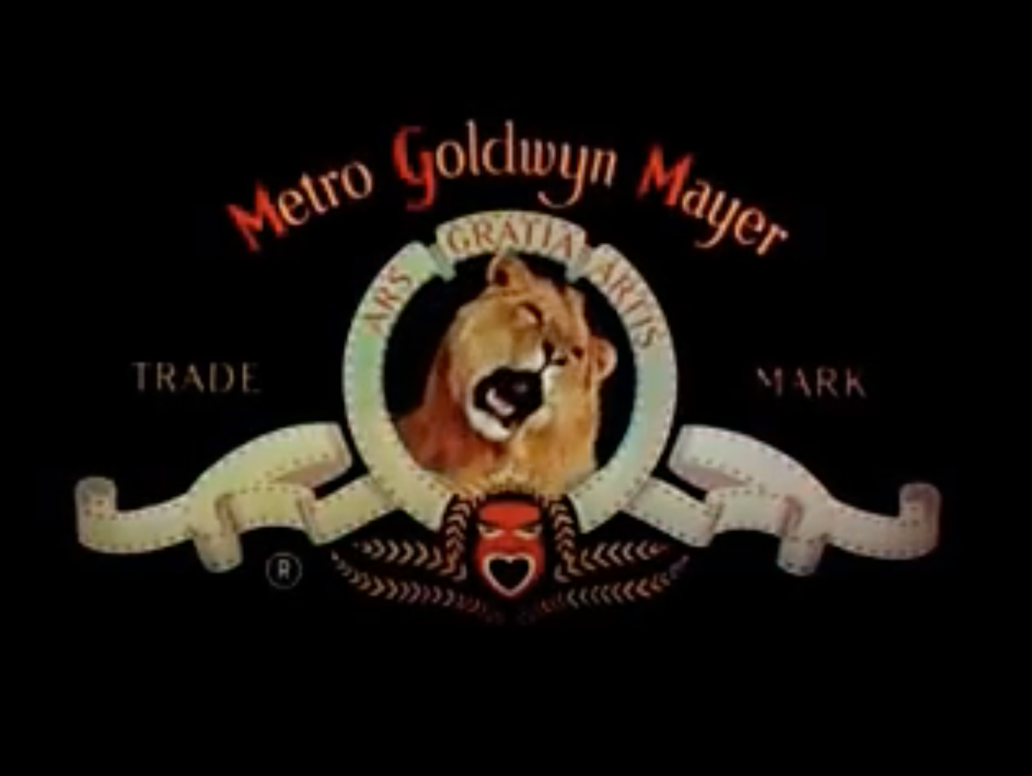 What Dot saw on a Walk