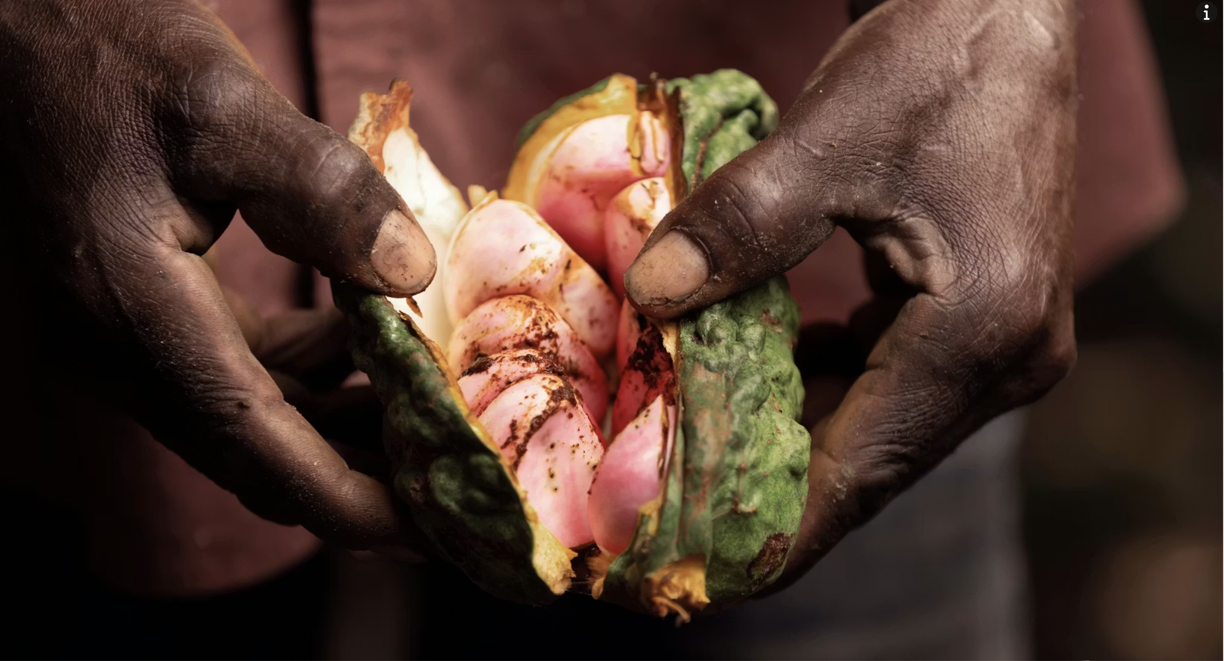 Pigment, Extraction, and the Weight of Material