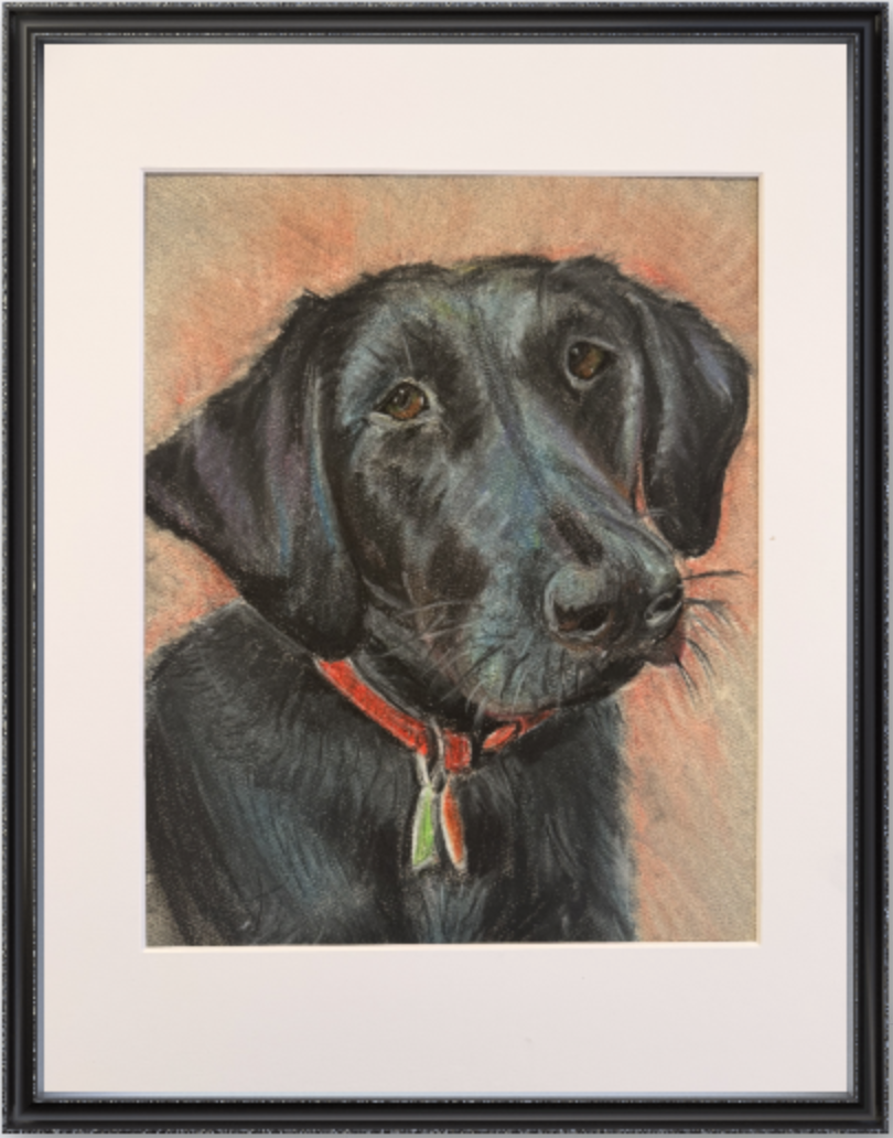 A soft pastel pet portrait of a black Labrador Retriever wearing a red collar with a green and red tag, set against a brownish background.