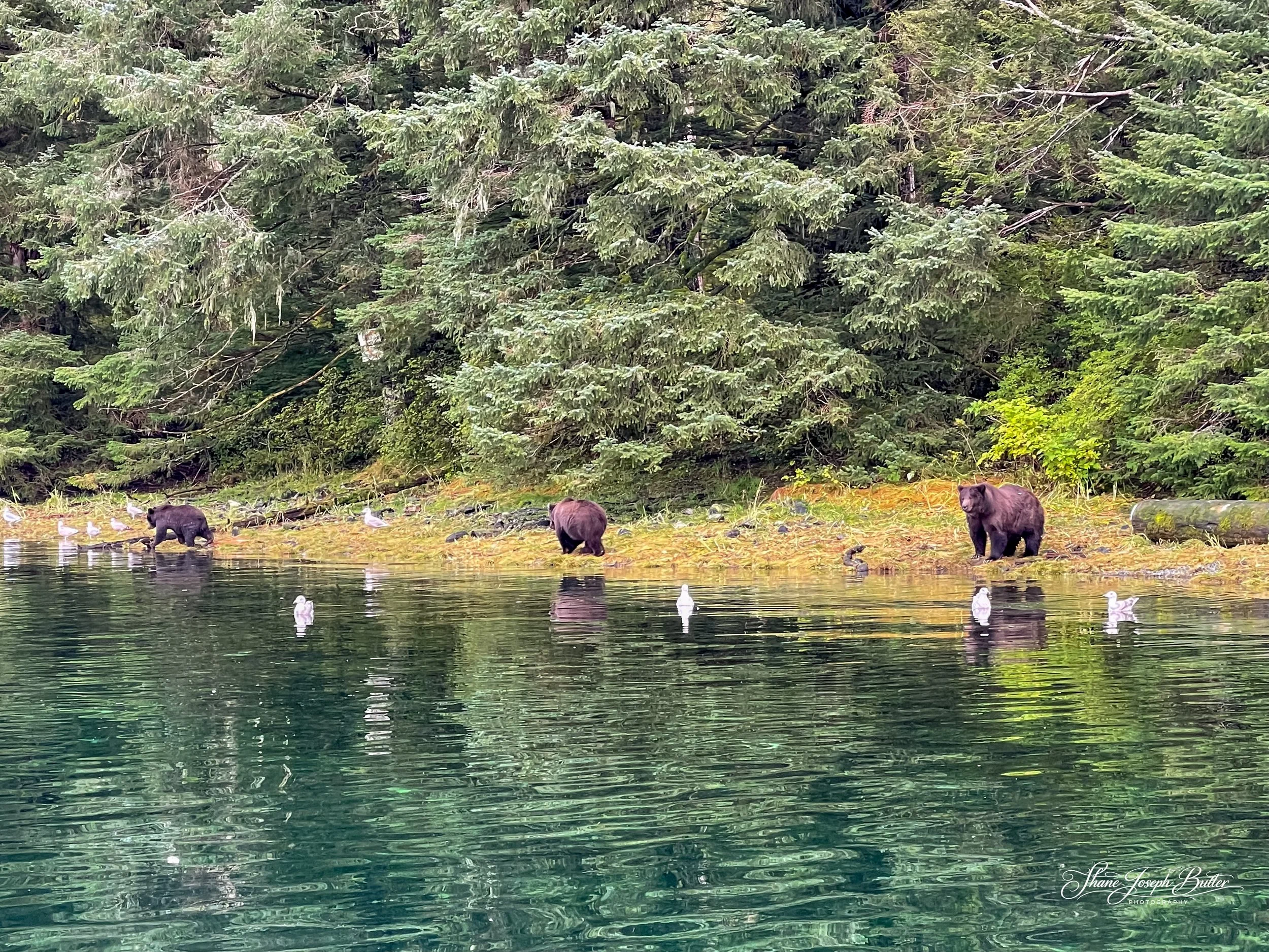 Untitle F3HP Shots-3.jpg