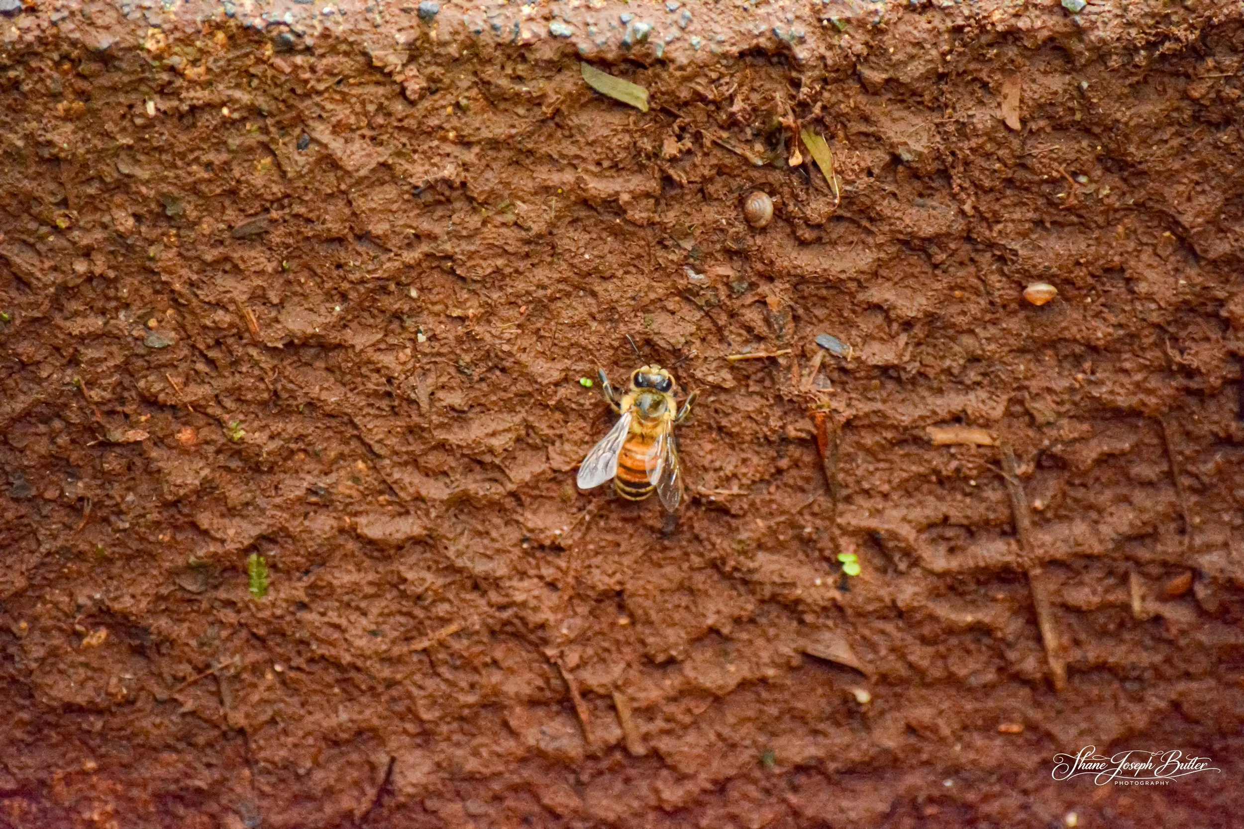 Untitle F3HP Shots-4.jpg