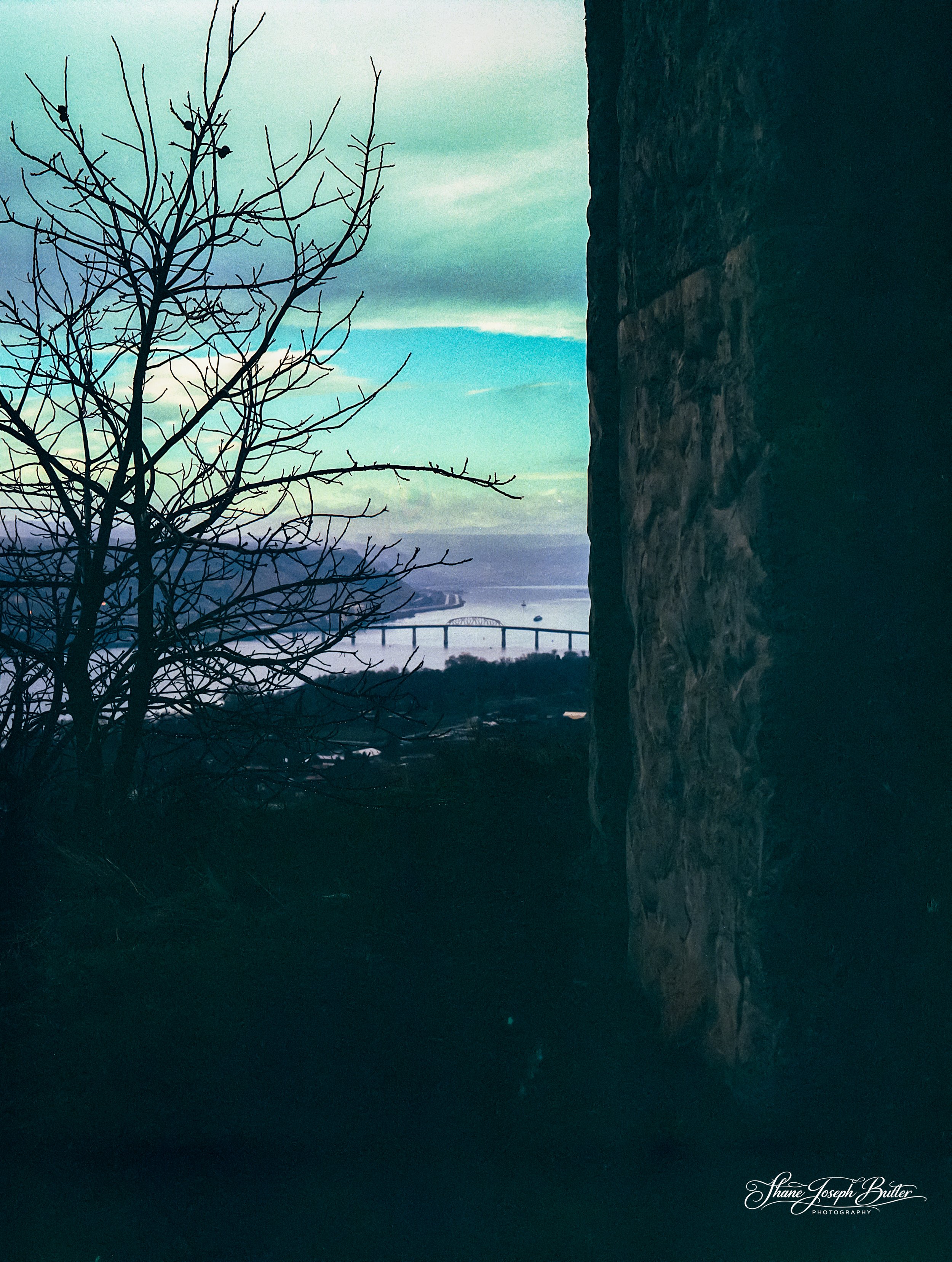 Release from Winter.jpg