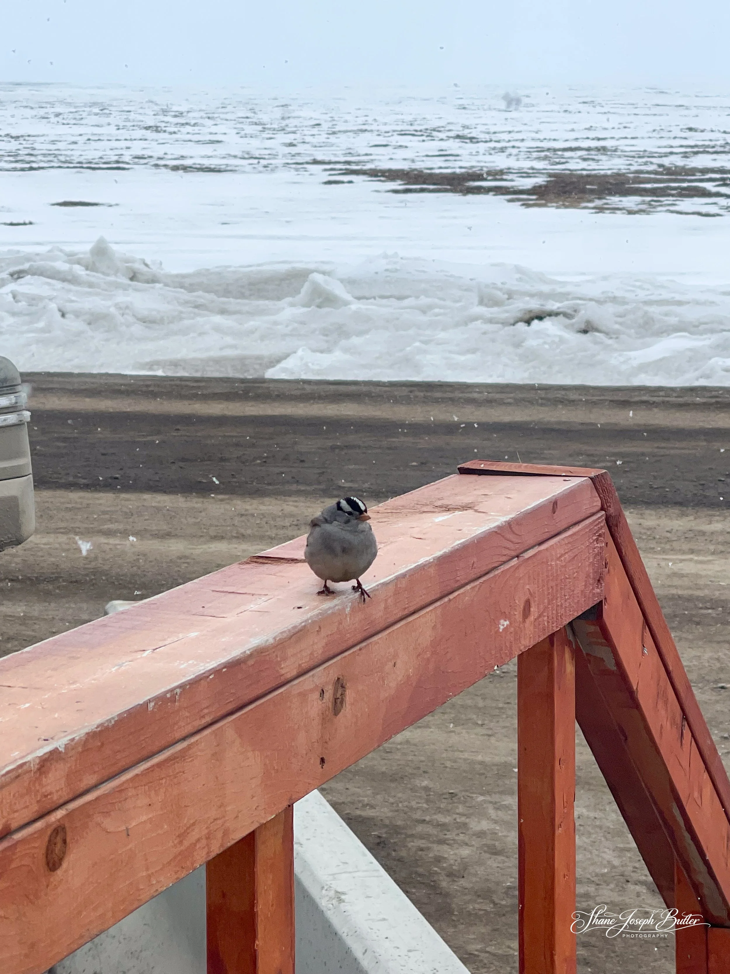 Untitle F3HP Shots-13.jpg