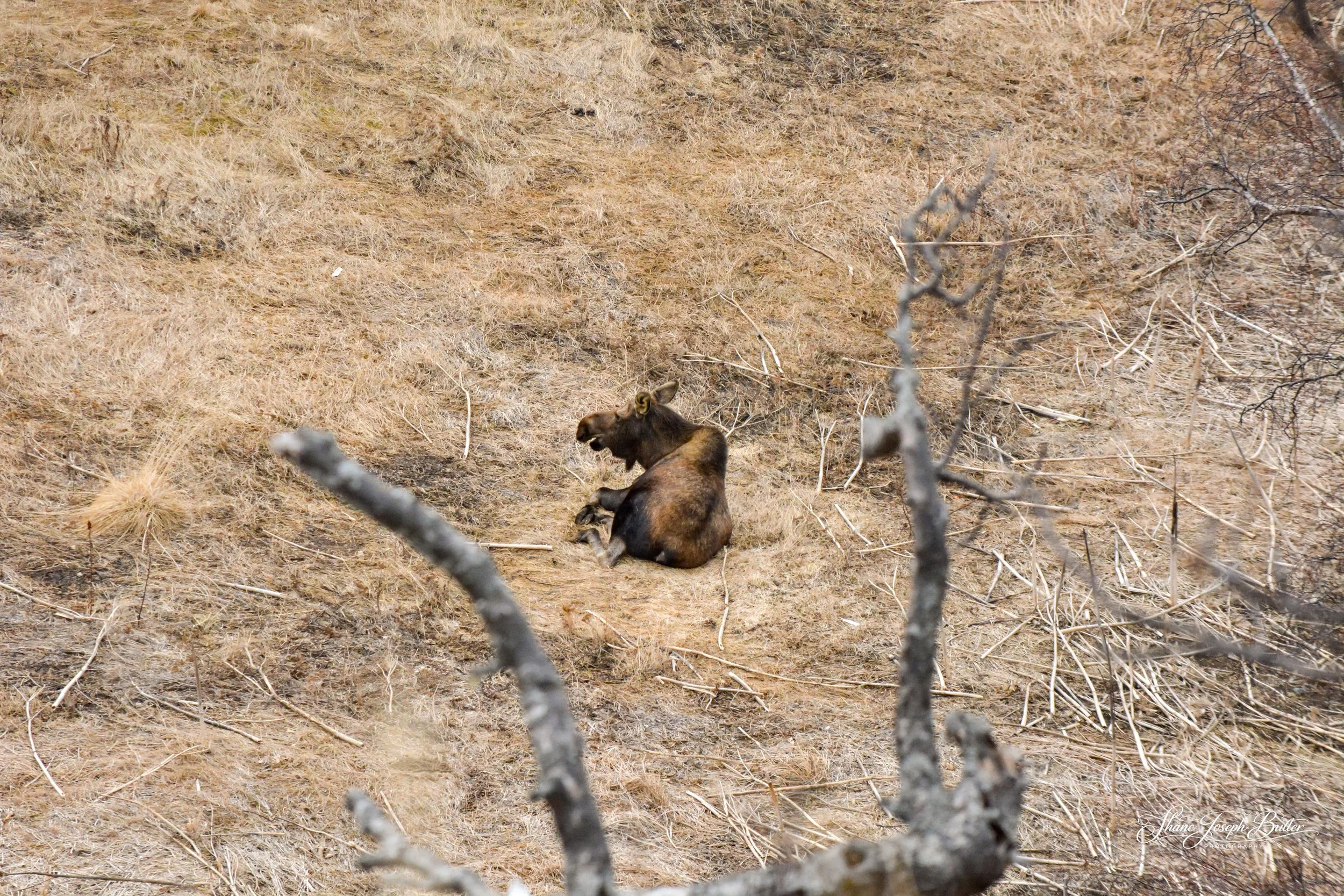 Untitle F3HP Shots-8.jpg