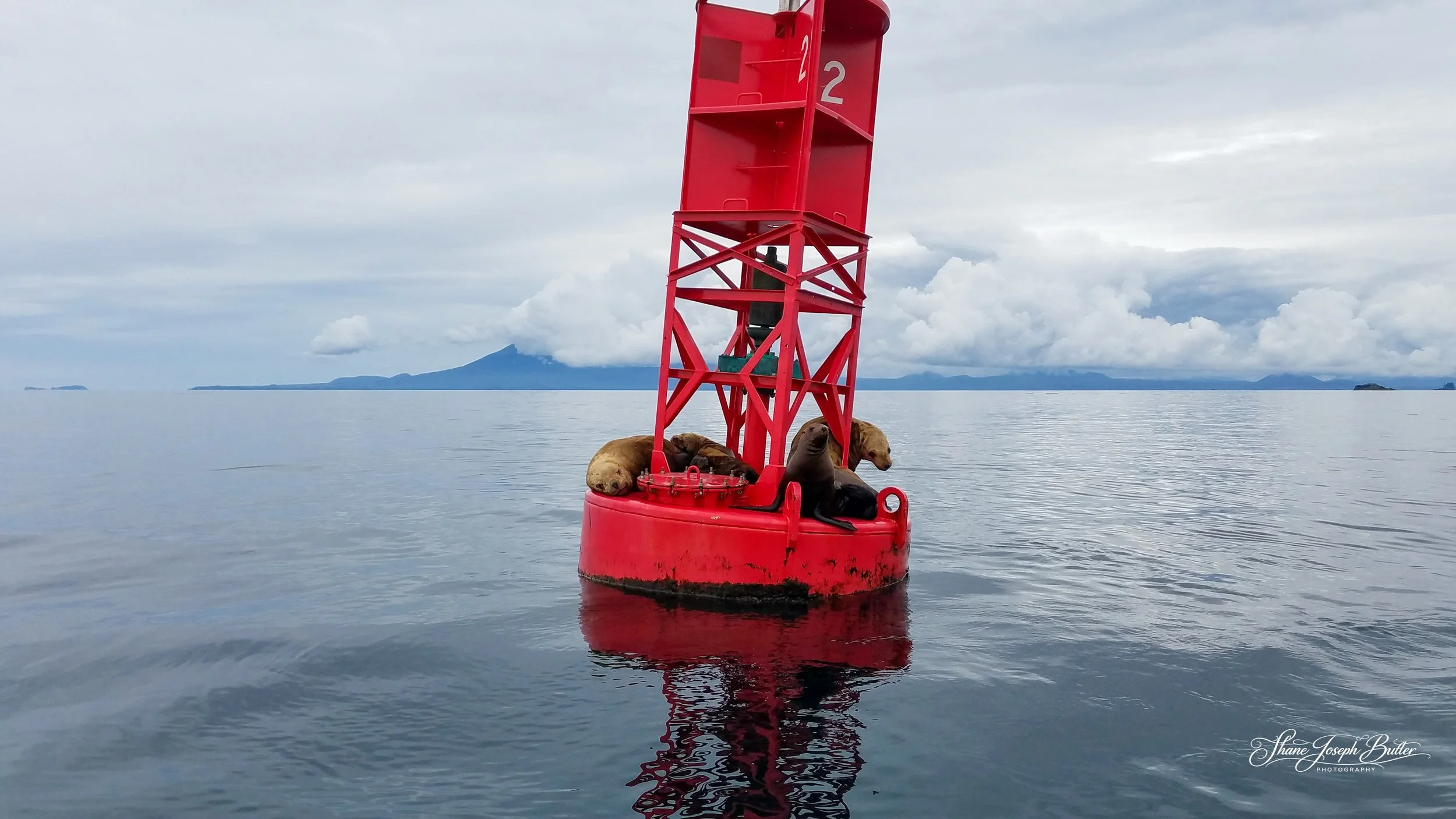 Untitle F3HP Shots.jpg