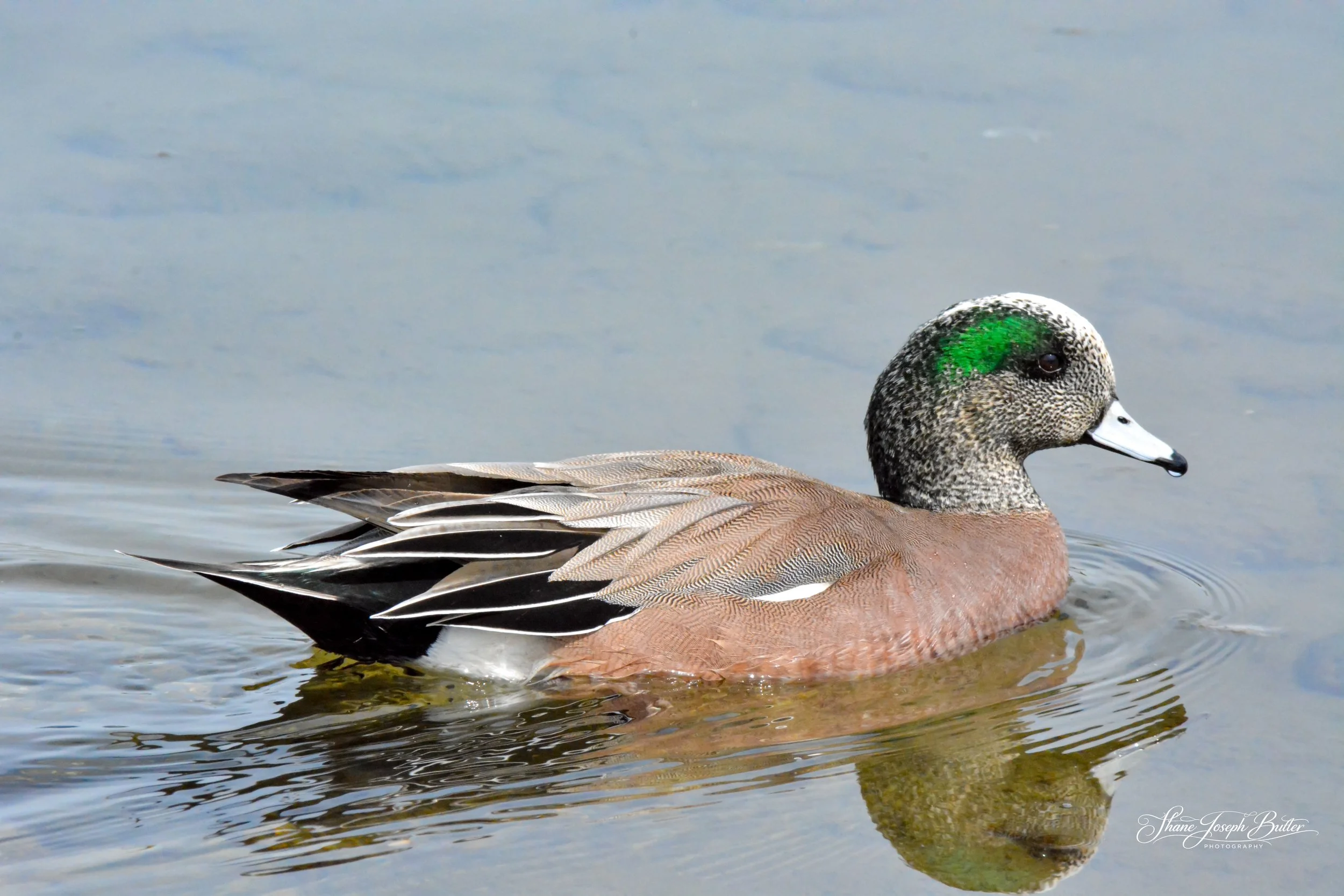 Untitle F3HP Shots-11.jpg