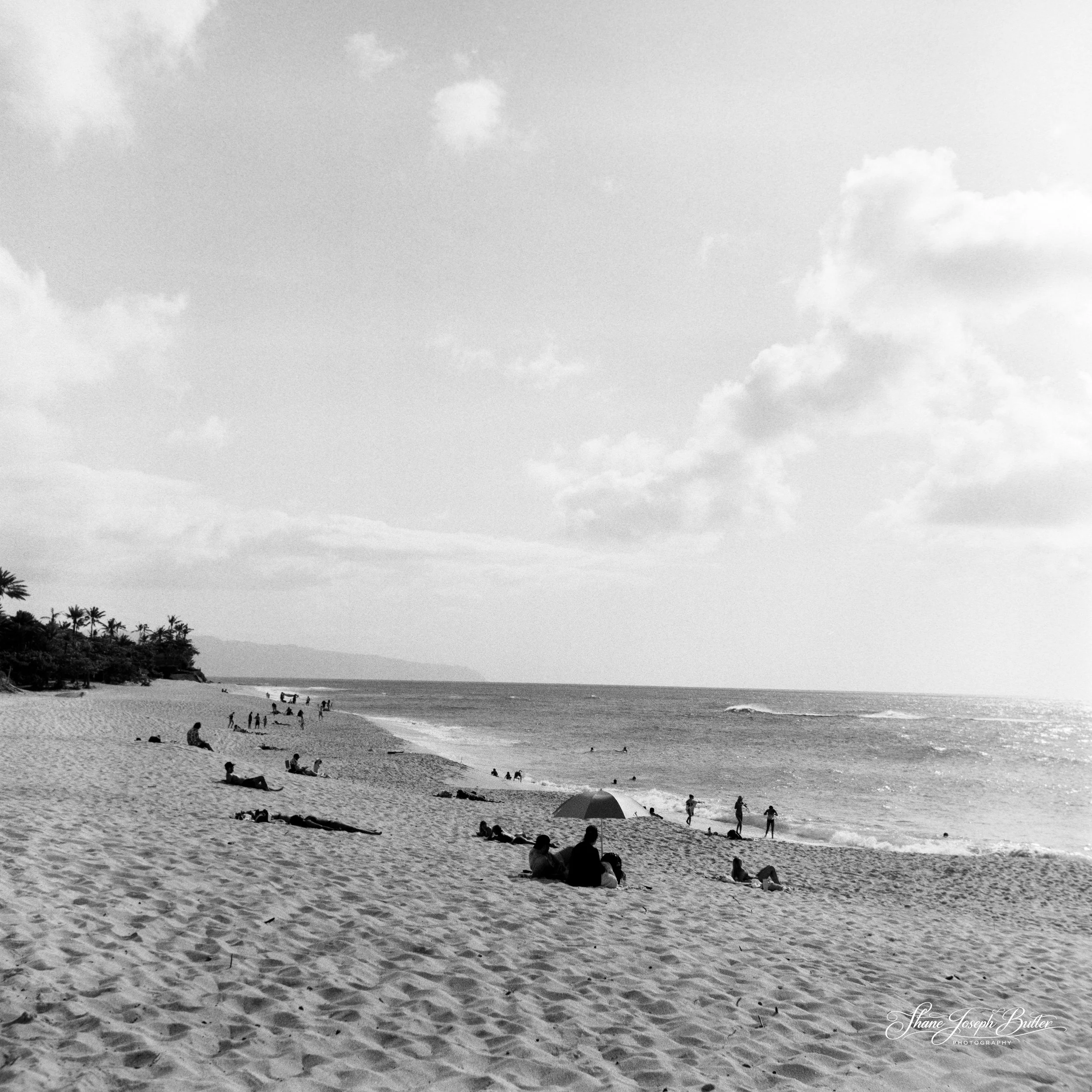 North Shore Oahu beach day.

Shot with Yashica Flex Model C 120mm Film