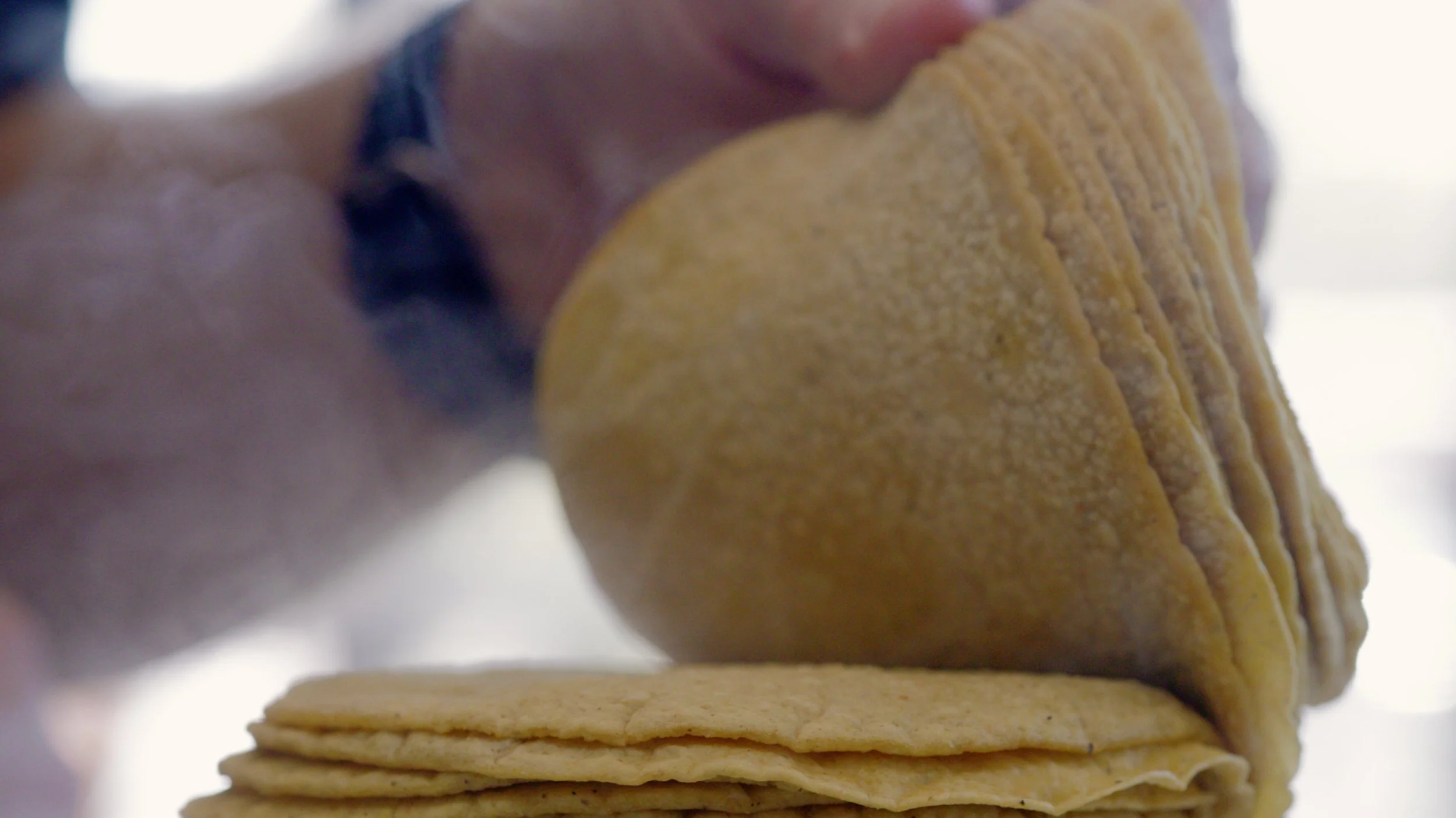 Close-up of a person holding and stacking yellow corn tortillas.