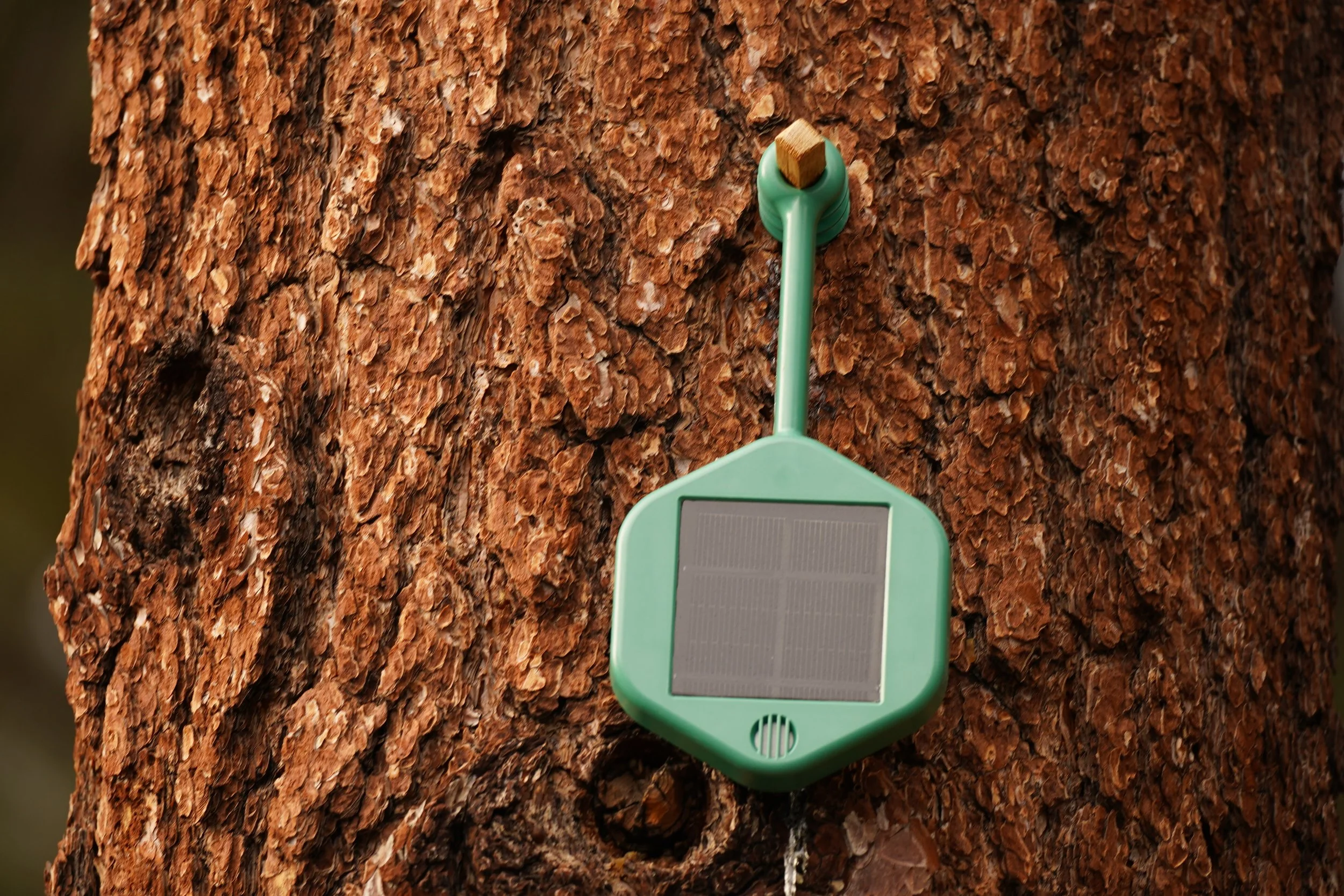 SPAWD Wildfire Detection Campaign Launch
