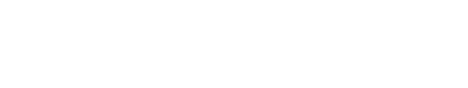 Omega Fleet Services