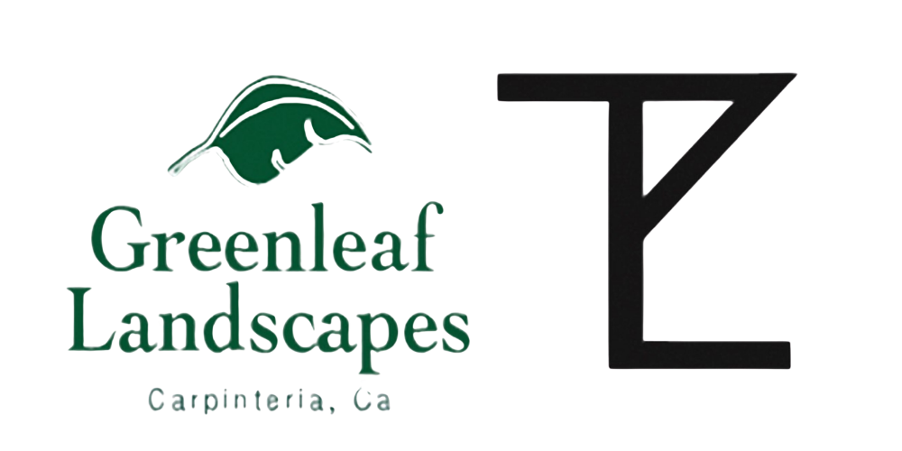 Beth Cox Enterprises, Inc.