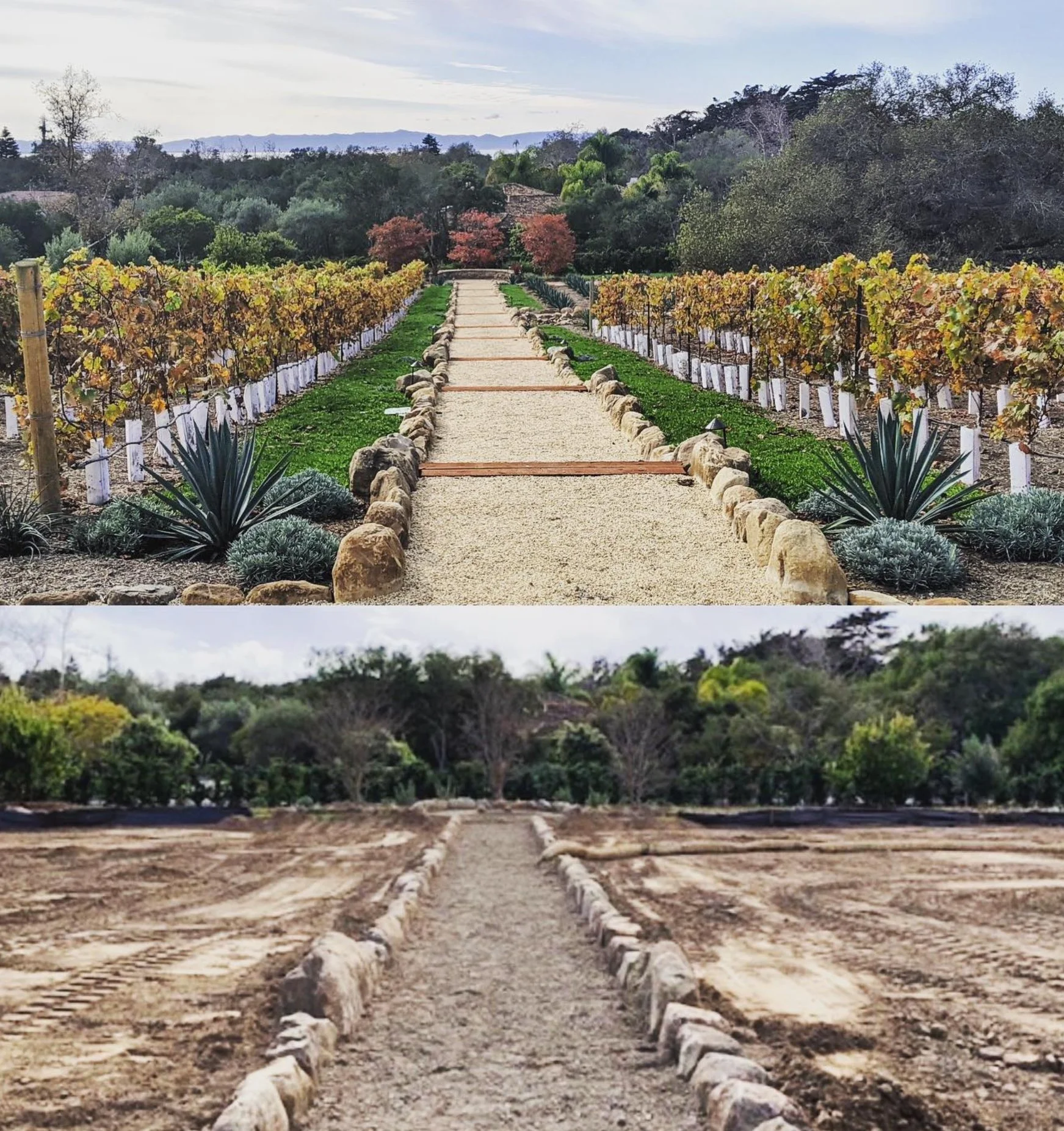 Vineyard installation, agricultural installation, Farming installation, Southern California Wine Country Landscaping, Gardening in Wine country, Paso Robles California