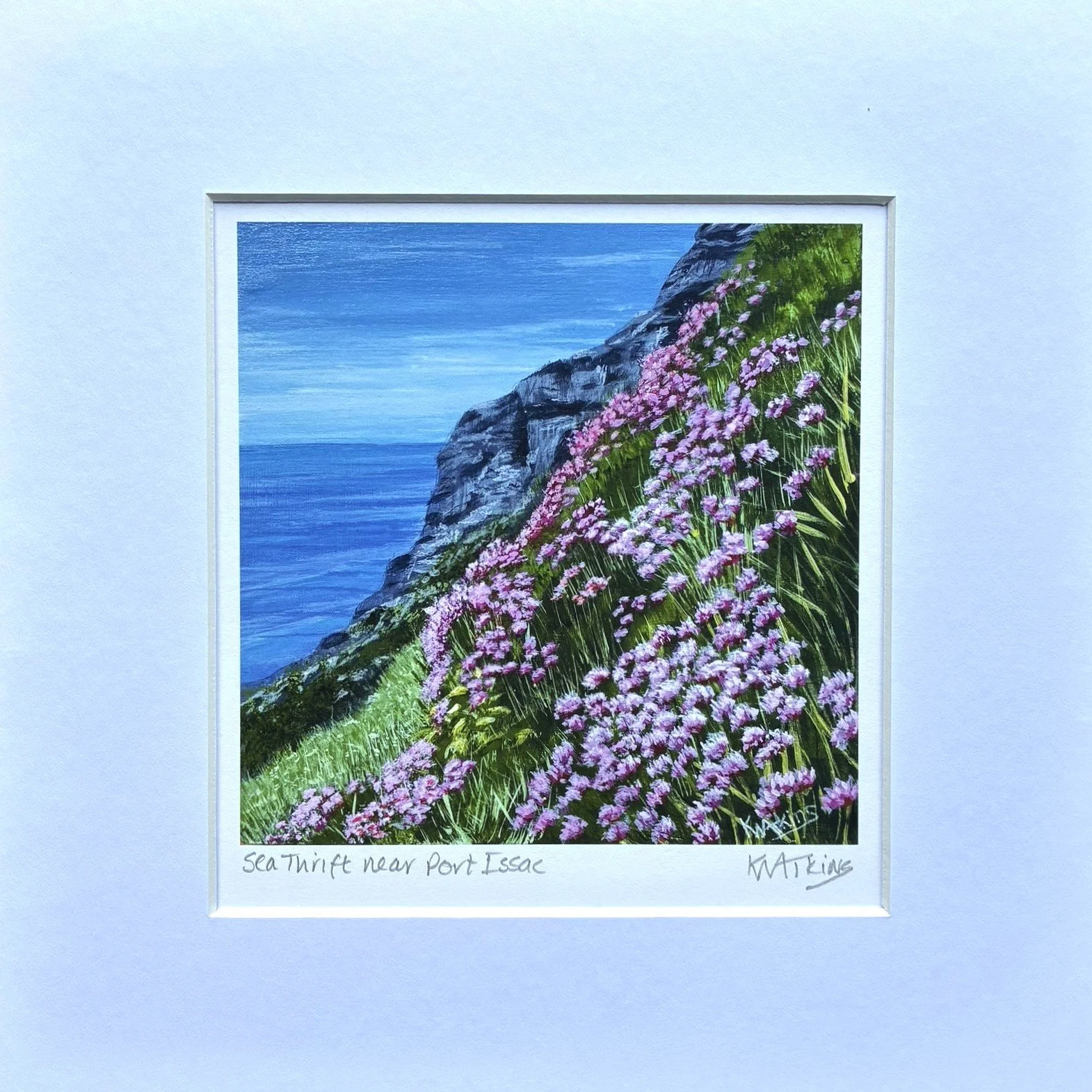 sea thrift near port issac print.jpeg
