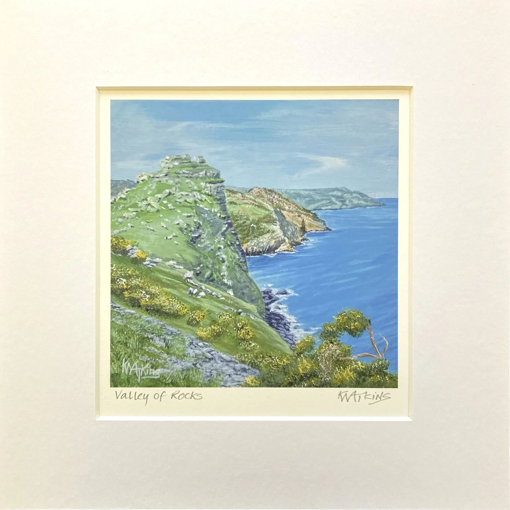 valley of rocks.JPEG