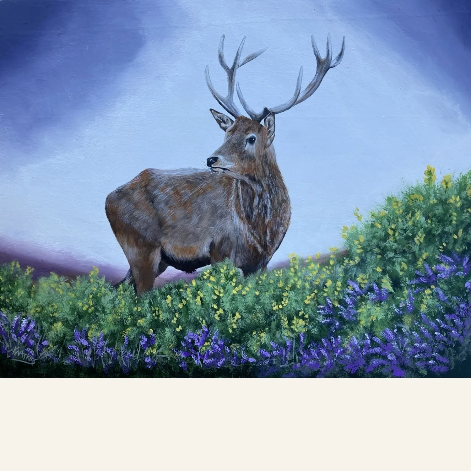 exmoor stag.jpg