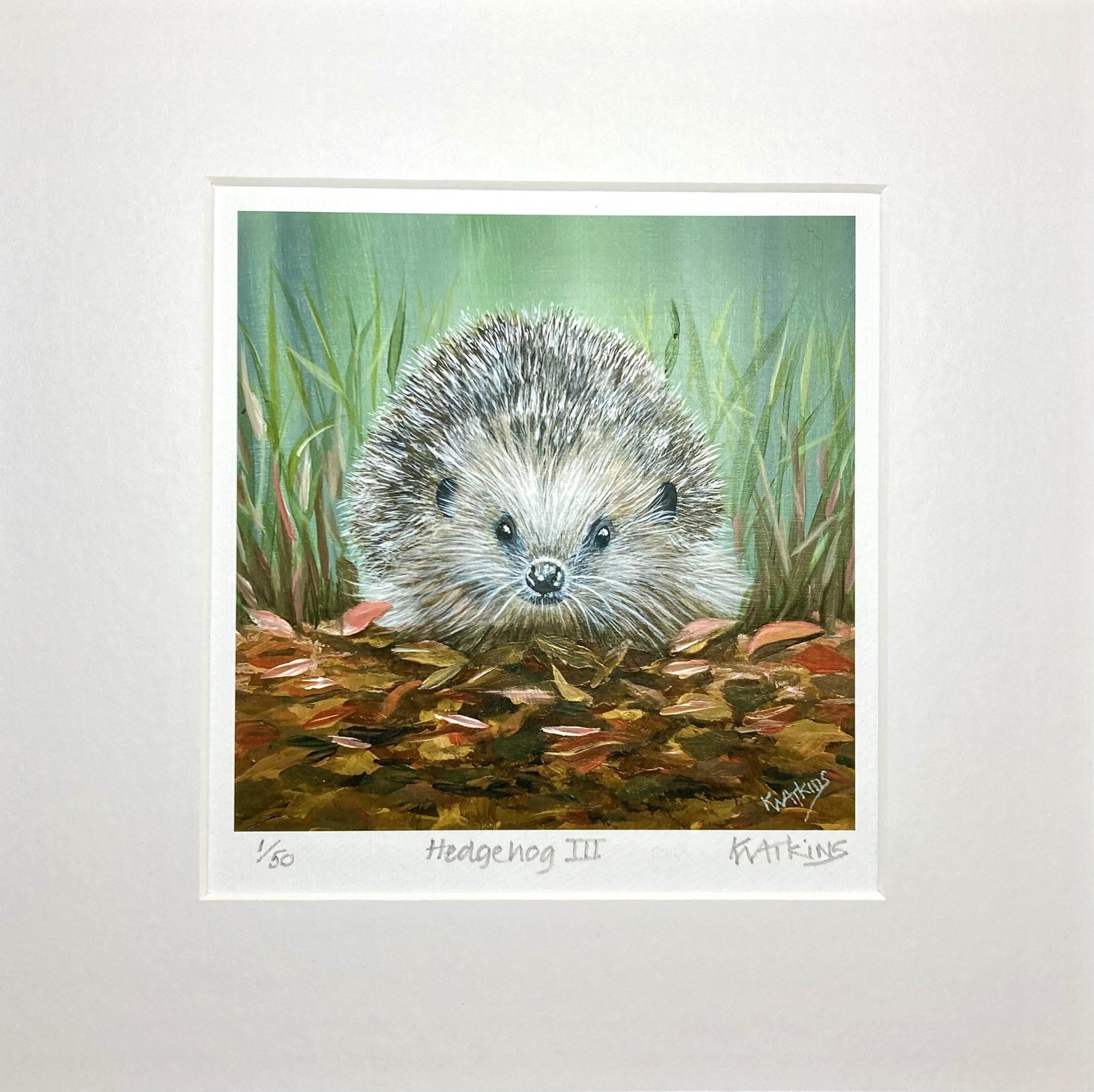 Hedgehog III Limited Edition Print