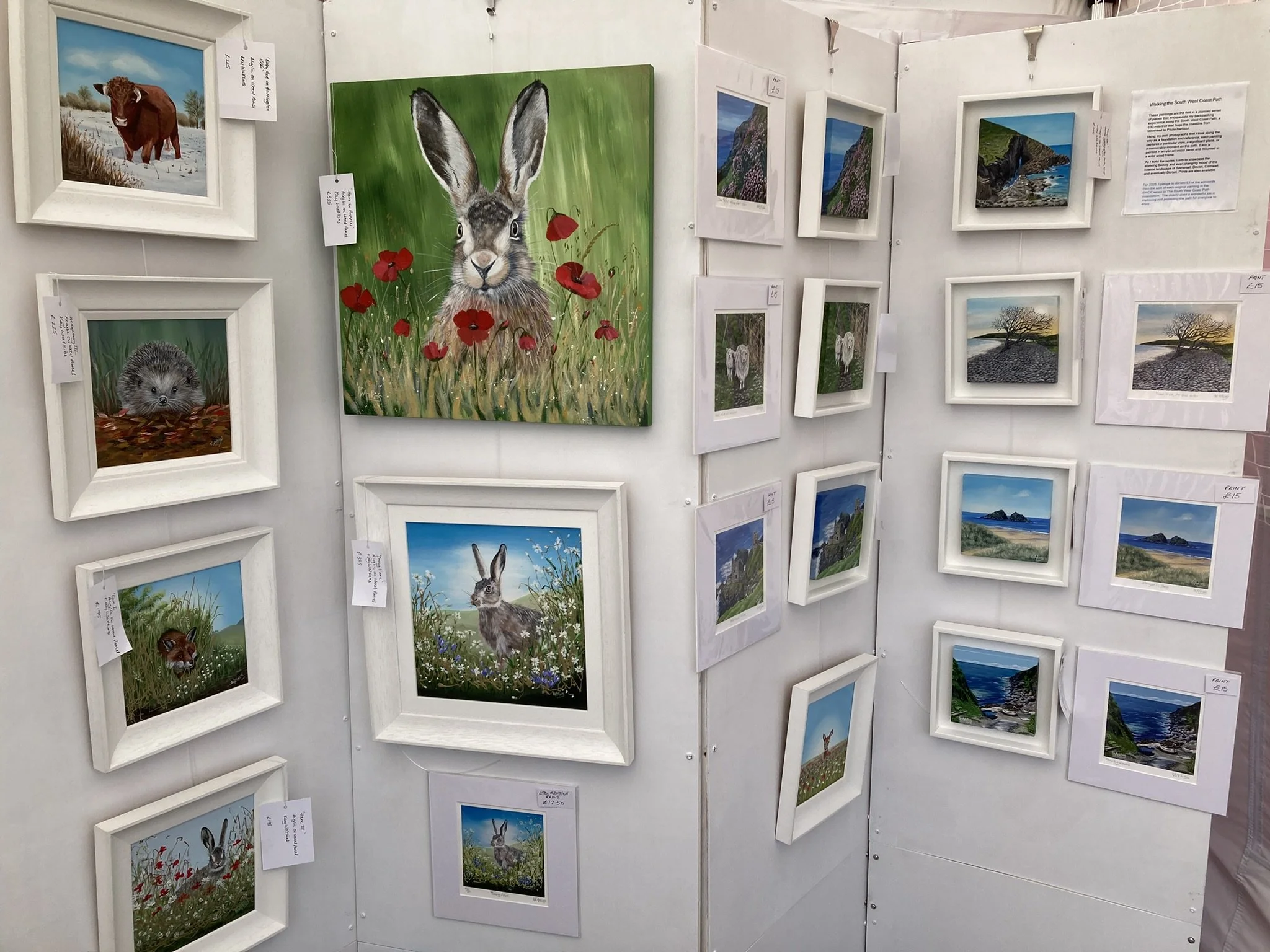 Art gallery display of various wildlife and landscape paintings, including hares, a hedgehog, a fox, scenic coastal views, and trees, each in white frames and some with price tags.