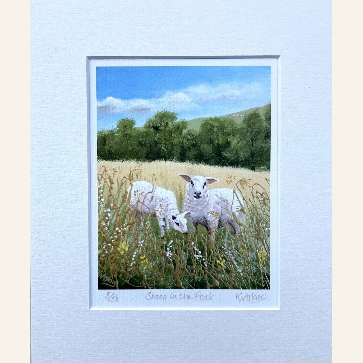 Sheep in the Peak Limited Edition Print