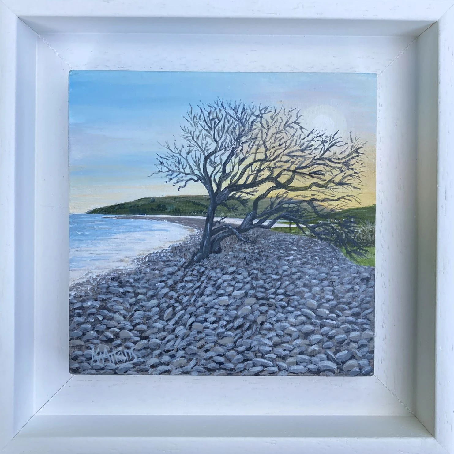 that tree, porlock weir.JPEG