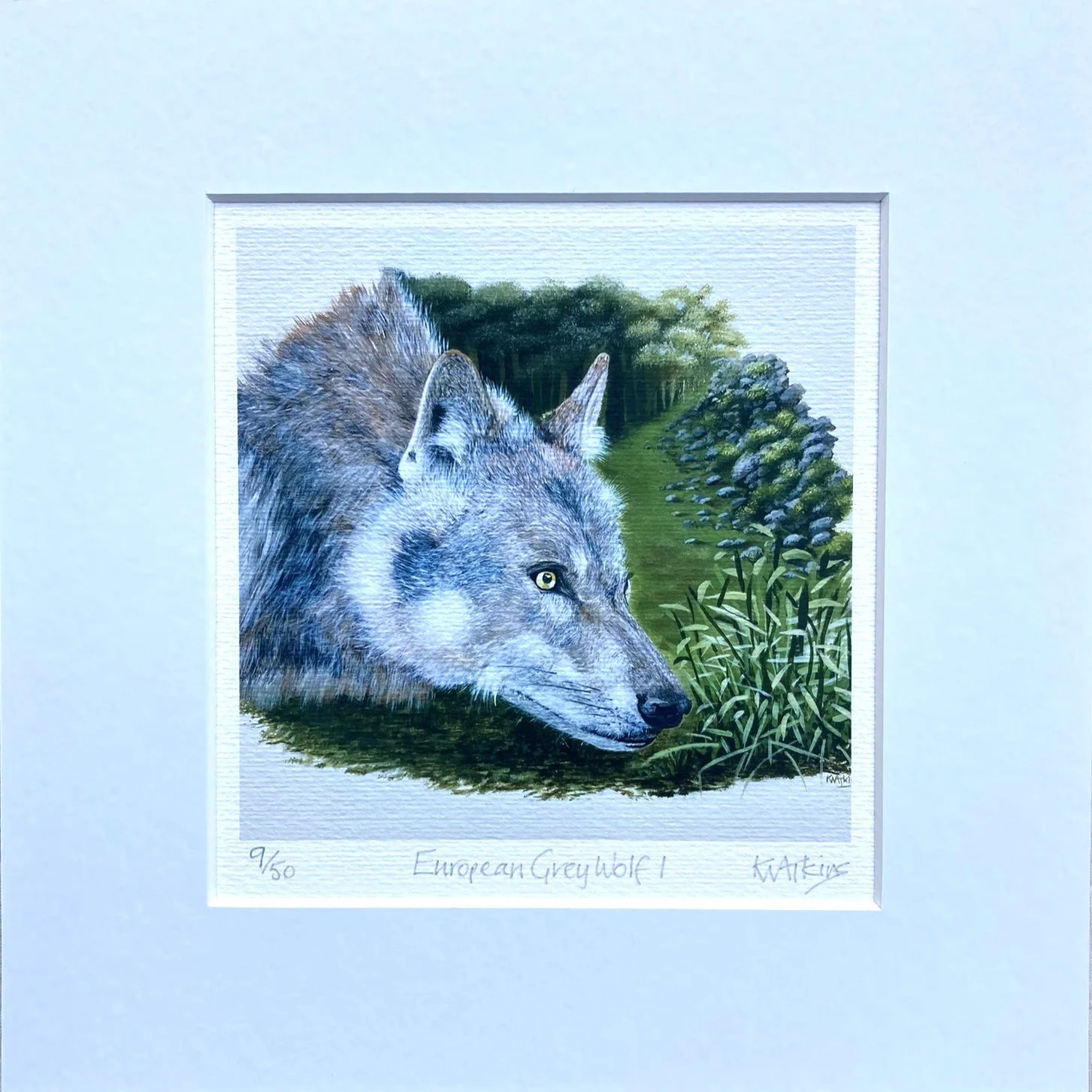 European Grey Wolf I Limited Edition Print
