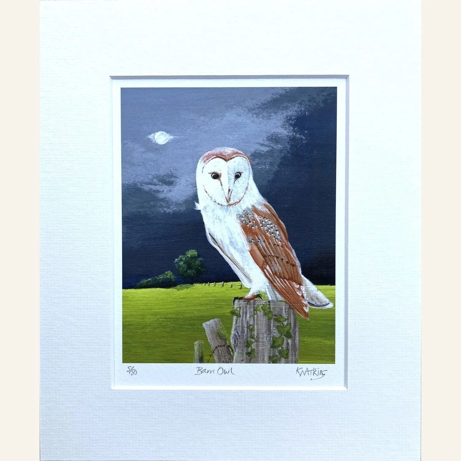 Barn Owl Limited Edition Print