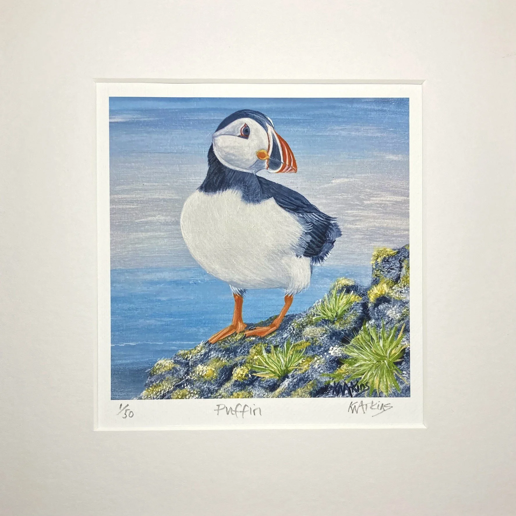 Puffin Limited Edition Print