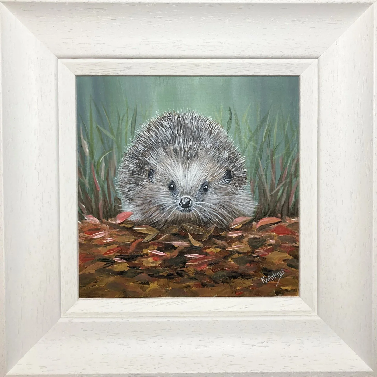 hedgehog III enhanced.JPEG