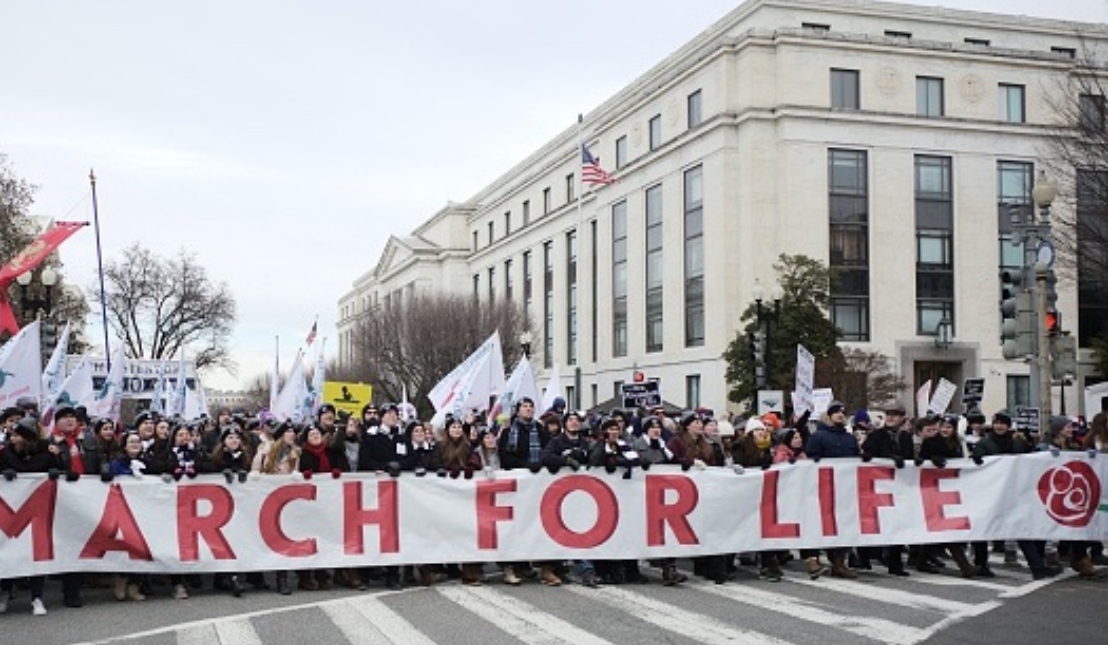 Why the Blackout on Fetal Tissue Research Among Pro-Lifers?