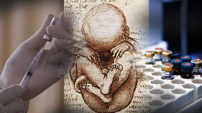 Exploring the dark world of vaccines and fetal tissue research: Part 1