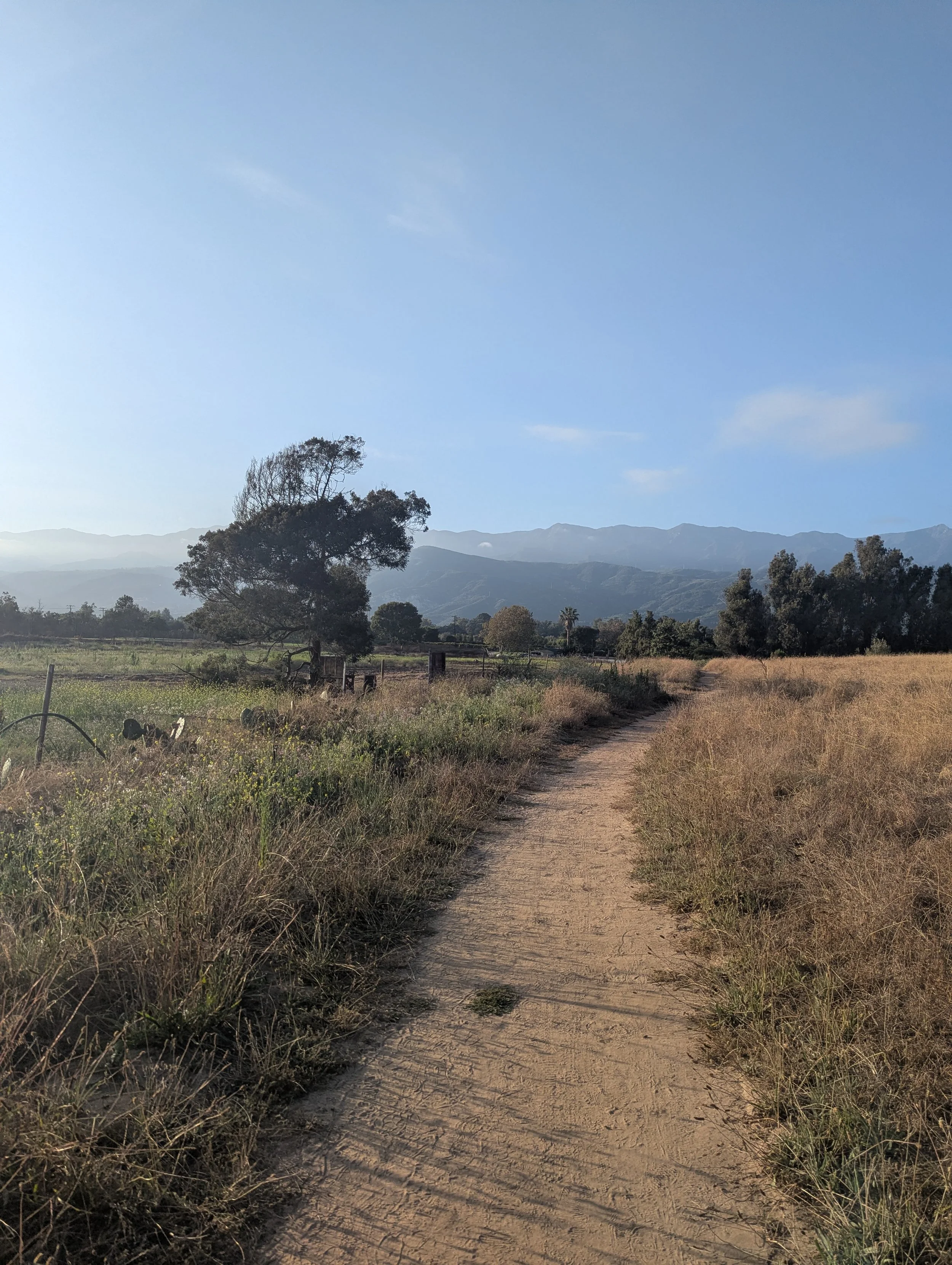 Review: Exploring “Landscapes of Grace”