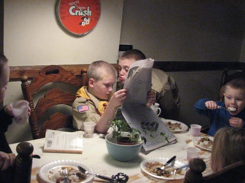 Group of children eating dinner at a table with plates of food, cups, and a potted plant, in a restaurant or home setting.