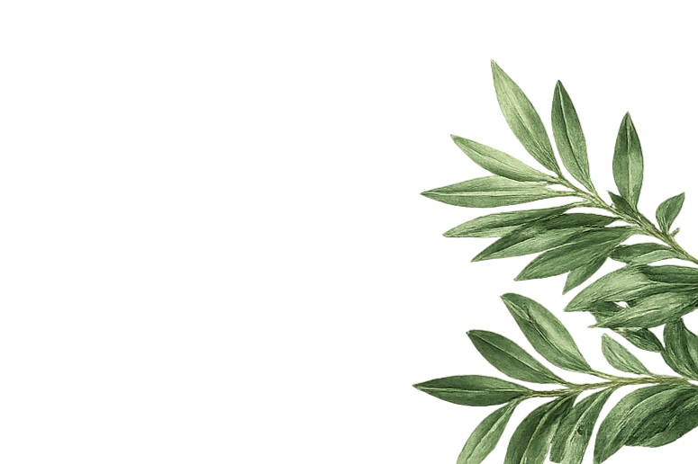 Close-up of green leafy plant with multiple elongated leaves