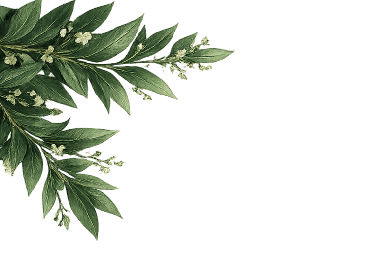 A cluster of green leaves with small white flowers on a black background.