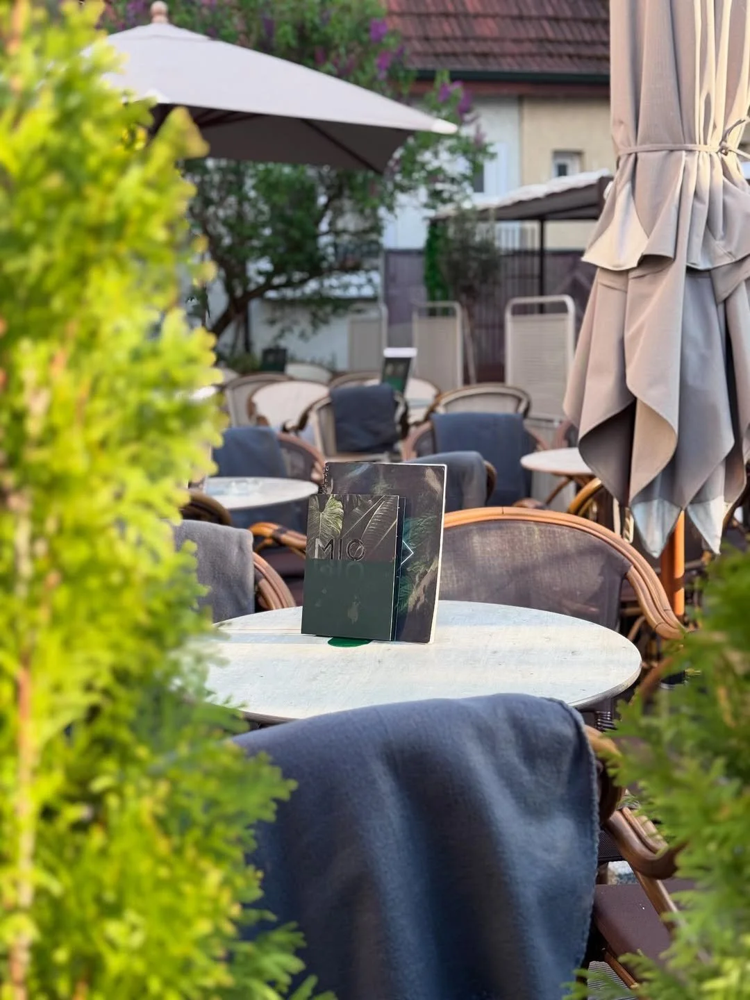 Outdoor restaurant patio with tables, chairs, umbrellas, and a menu on a table, surrounded by greenery and a building in the background.