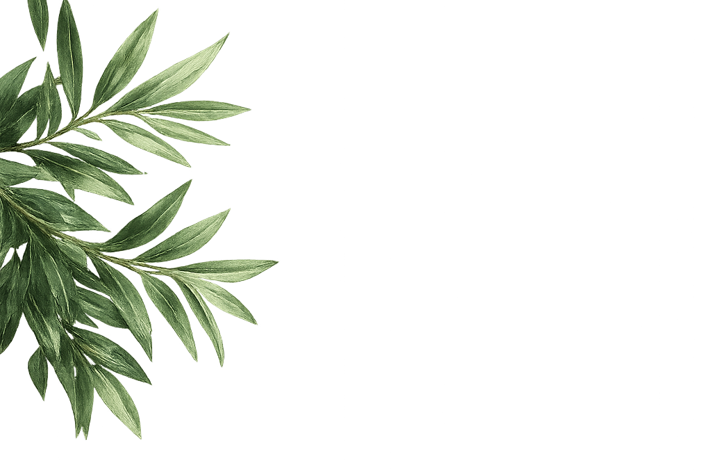 Green leafy plant on the left side of the image.