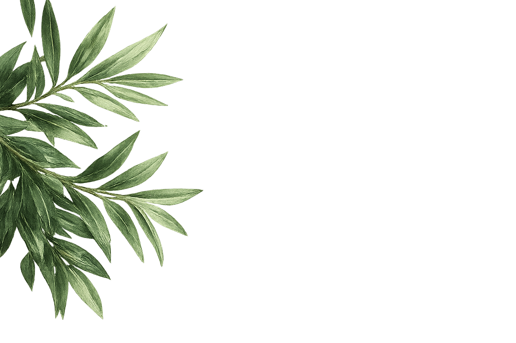 A branch of green leaves on the left with a dark background.